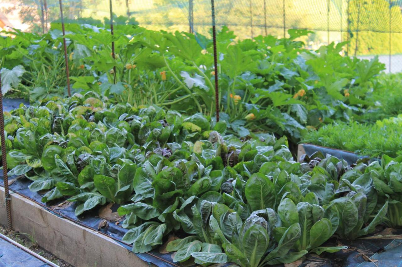 Villa Ciardi Wellness Hotel & Ristorante Asiago Kültér fotó